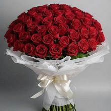 Букет 101 Красная роза Блэк Мэджик #REPLACE_PRED# Суздали