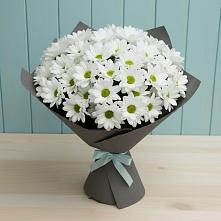 Букет цветов из:  Хризантемы в Суздали