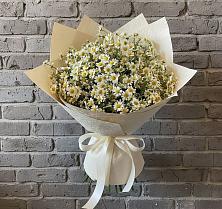 Букет цветов из:  Ромашки #REPLACE_PRED# Суздали