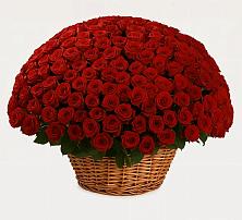 Премиум букет из: Розы в Суздали