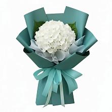Букет цветов из:  Гортензия #REPLACE_PRED# Суздали
